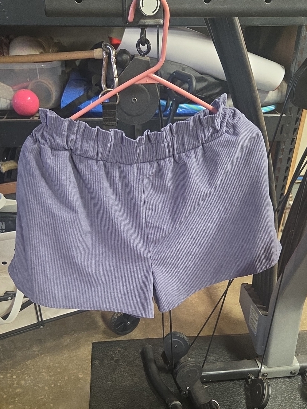 Dizzy High-Waist Lavender Pinstripe Shorts